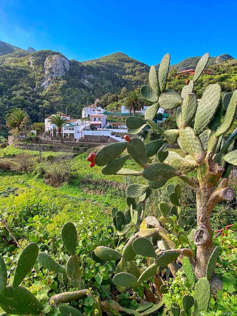 Das Dörfen Chamorga im Anaga Gebirge, Teneriffa