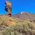 Spanien, Teneriffa_362_Nationalpark Pico del Teide