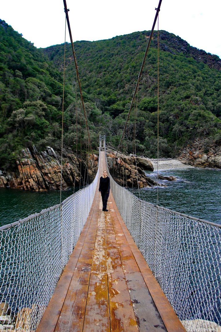 Südafrika 1355- Tsitsikamma National Park Suspension Bridge-2