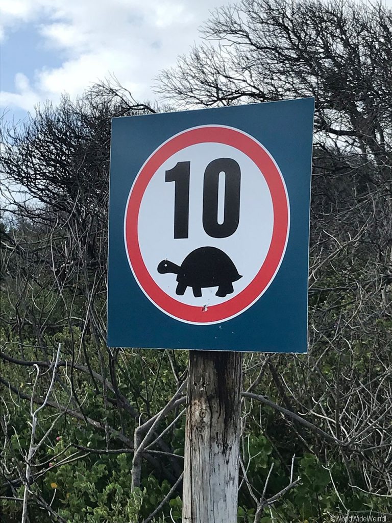 Südafrika 1560- Robberg Nature Reserve