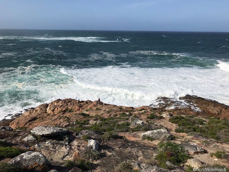 Südafrika 1562b- Robberg Nature Reserve