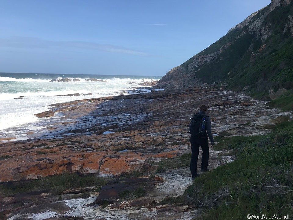 Südafrika 1564- Robberg Nature Reserve