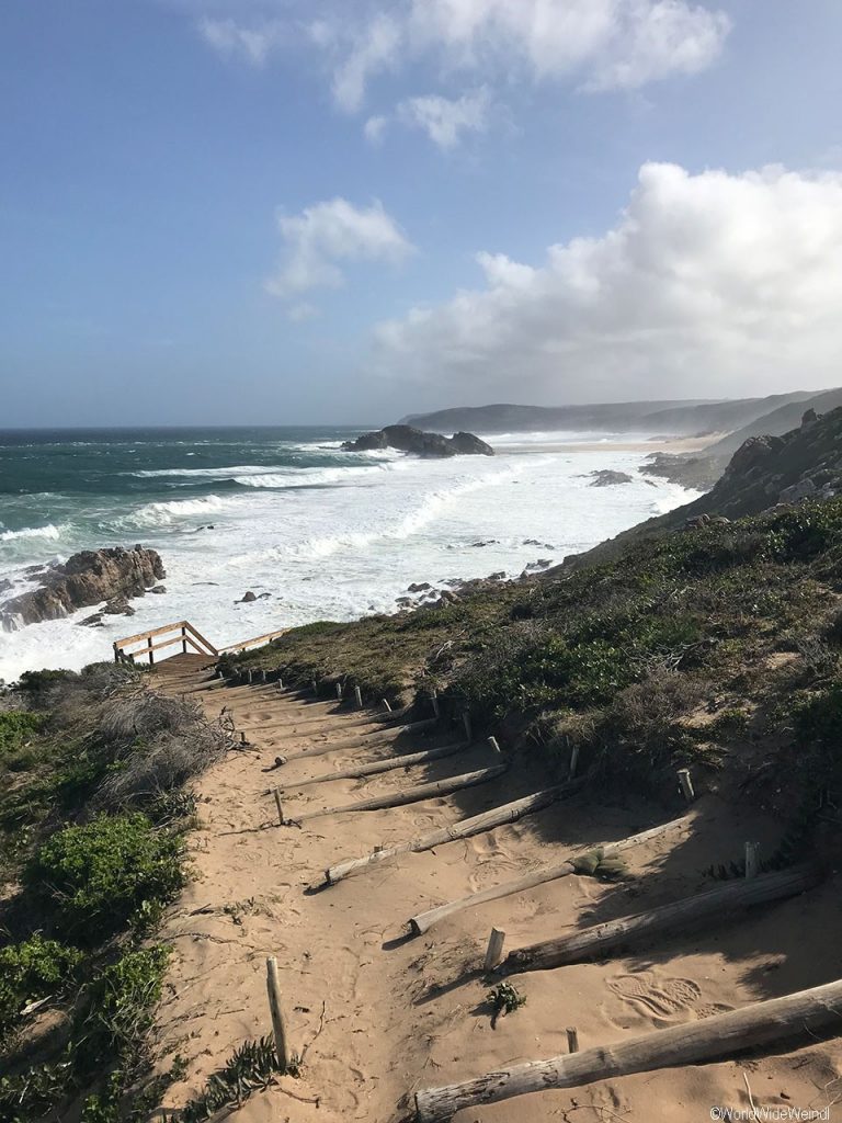 Südafrika 1566- Robberg Nature Reserve