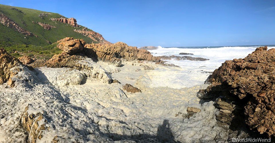 Südafrika 1569- Robberg Nature Reserve