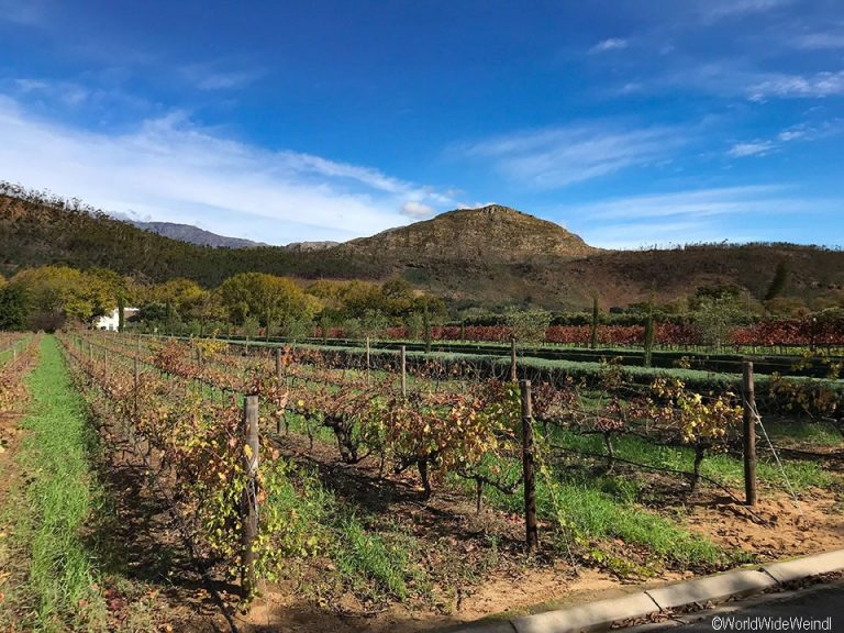 Südafrika 1771- Franschhoek, Rickety Bridge