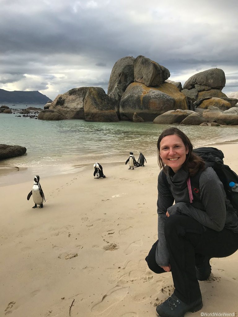 Südafrika 212- Boulders Beach