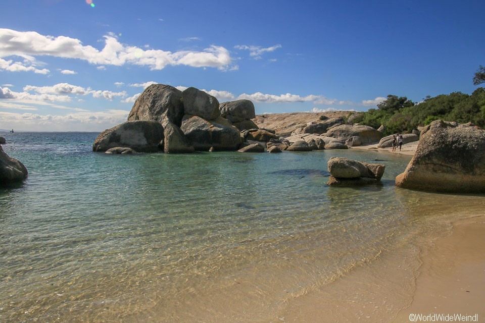 Südafrika 75- Boulders Beach