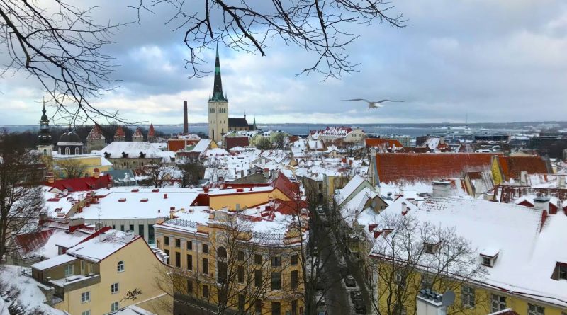 Tallinn 165- Ausblick auf Old City Tallinn