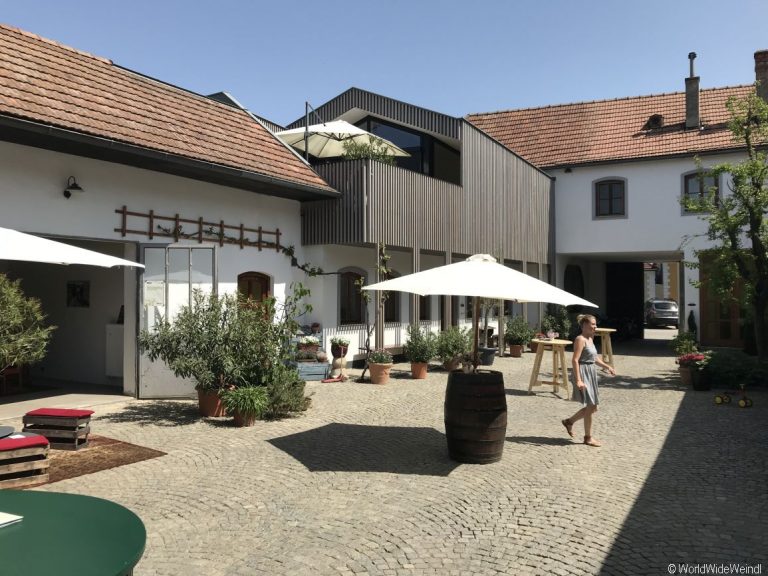 Weingut Höllerer, Weinfrühling,Traisental und Langenlois 2018120