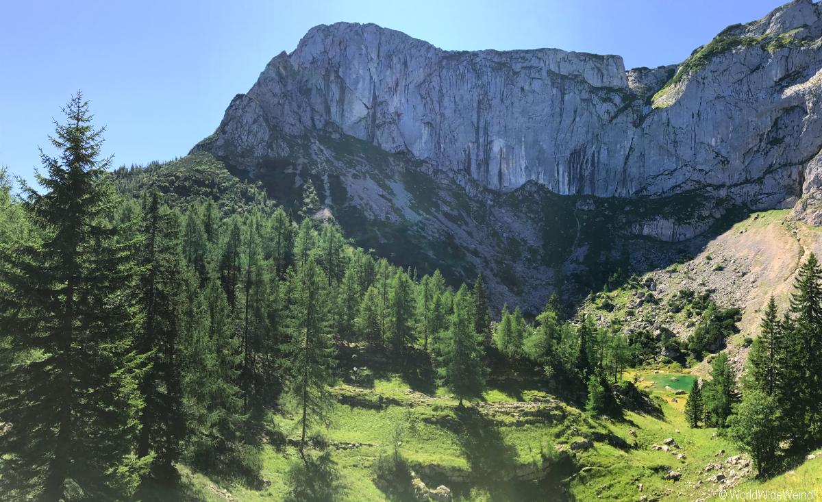 Wolfgangsee- Wanderung Schafberg Mittersee