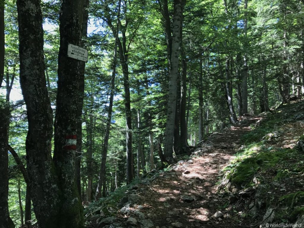 Wolfgangsee- Wanderung Schafberg 155