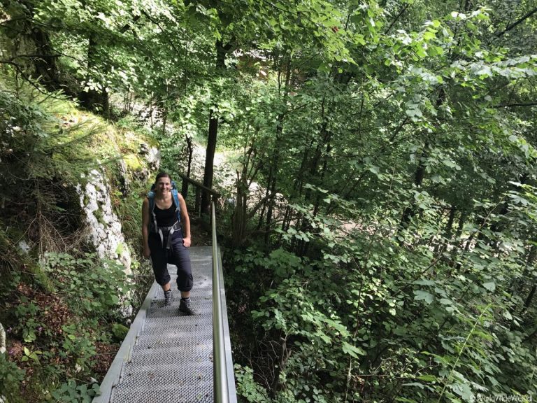 Wolfgangsee- Wanderung nach St.Gilgen und aufs Zwölferhorn 20