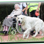 Fotoalbum Rolstoelwandeling Hoevezavel – 06/09/2016