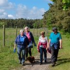 Fotoalbum Hoeverbergentocht – 20/05/2016