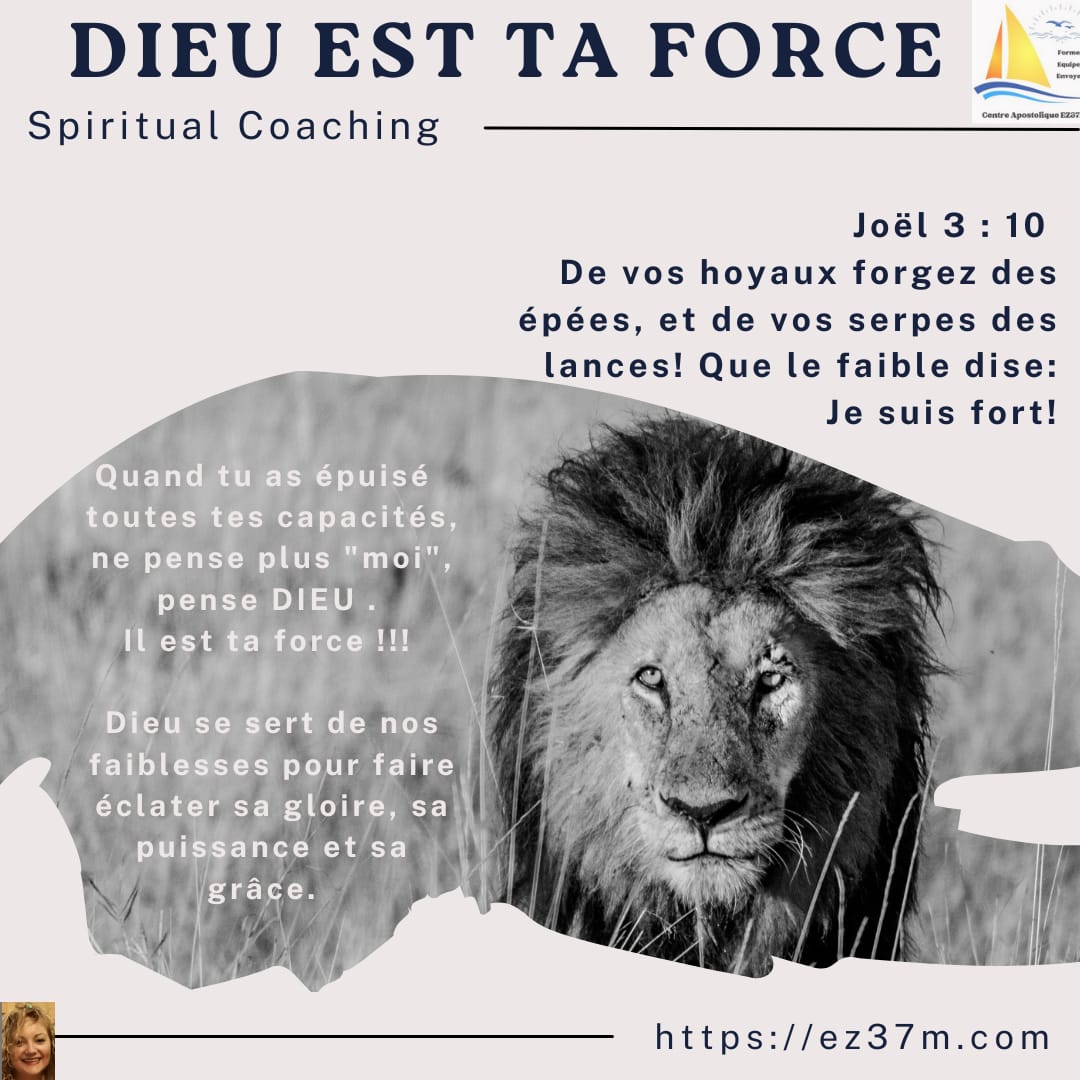 You are currently viewing DIEU EST TA FORCE ! par Nadège