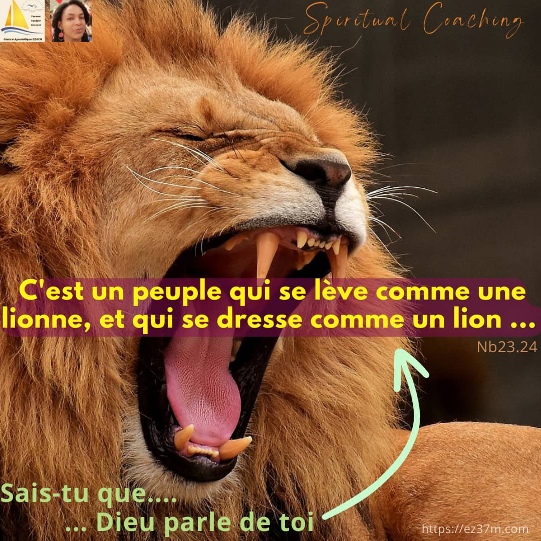 You are currently viewing COMME UN LION ! par Fannie