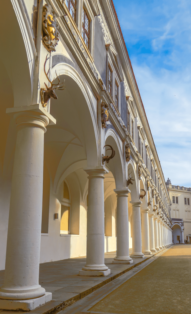 Stallhof Dresden