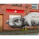 Doel (Antwerpen) Doel (Antwerpen)