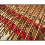 The Steinway Promise The Steinway Promise