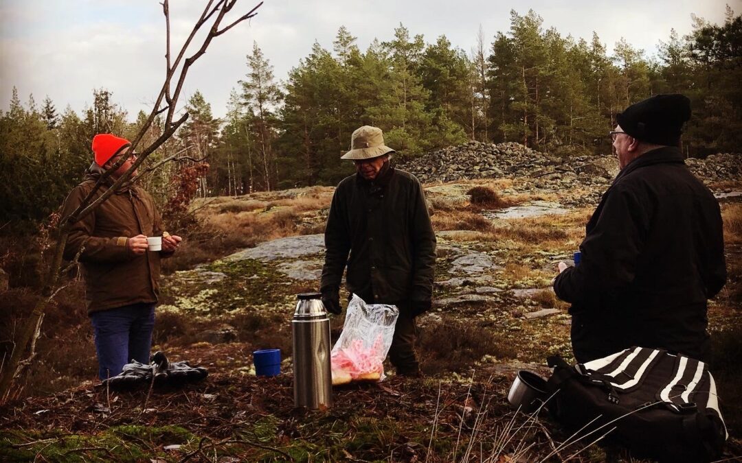 Det senaste från RonnebySlingor