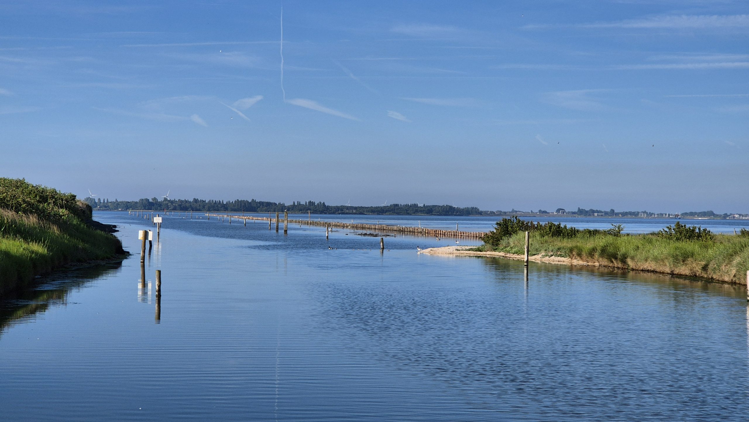 Lees meer over het artikel Natuurlijke dam beschermt haven Battenoord