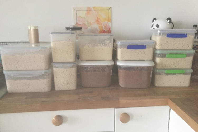 Eleven large plastic 'tupperware' containers are piled up on a kitchen work surface. Nine containers have plain white bread dough inside. Two have dark brown bread dough. A toy panda can be seen behind the tubs.
