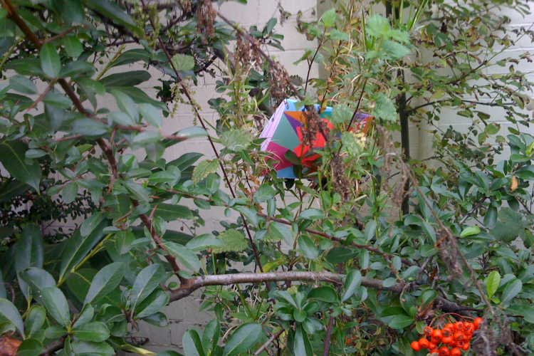Close up image of a bush with leaves, branches and some red berries. Tangled in the midst of the bush is a multicoloured piece of paper which is a Wunderbar Festival 2011 brochure