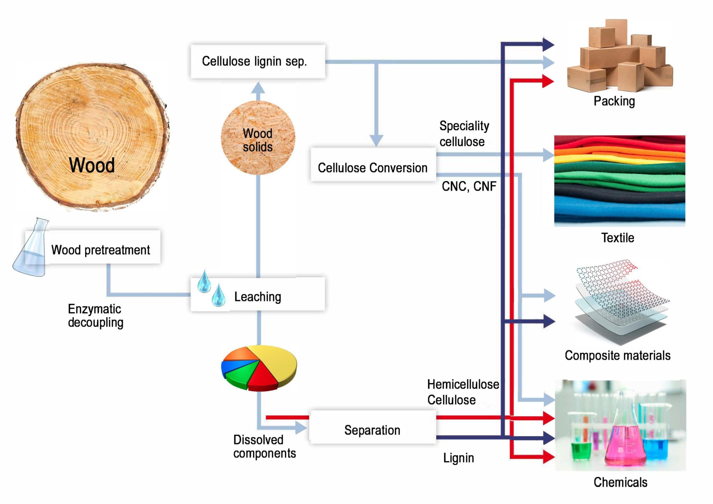 Program 1 Wood components extraction, characterization and