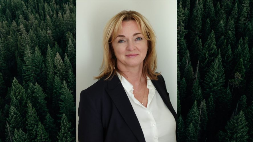 olena sundblad