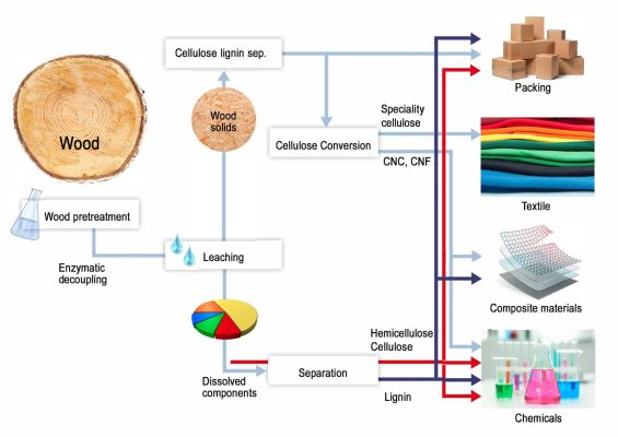 The figure shows a flow chart of a biorefinery concept