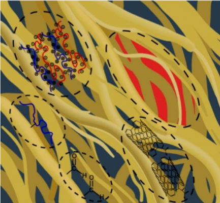 illustration of how the opened fibre wall can be modified with different types of procedures