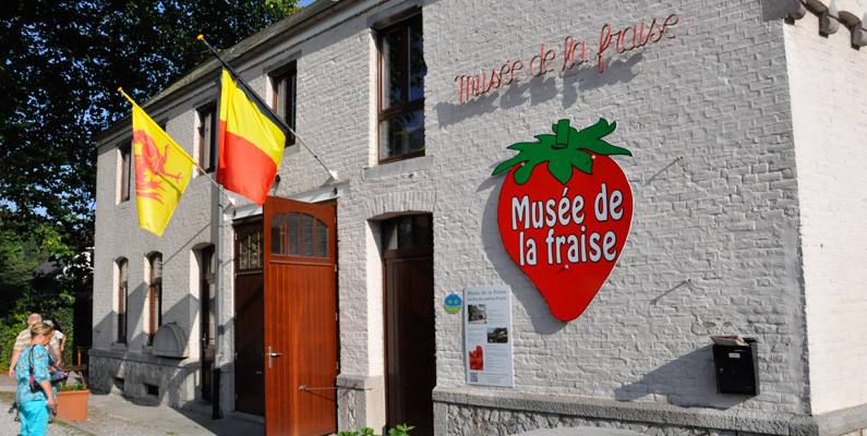 Belgien har ett jordgubbs-museum där allt är dedikerat till jordgubbar. På ”Le Musée de la Fraise” (”Jordgubbsmuseumet” översatt till svenska) kan du köpa allt från jordgubbssylt till öl som är smaksatt med jordgubb. Jordgubbsöl kanske inte är något att ta hem och skryta om på grillfesten med polarna dock?
