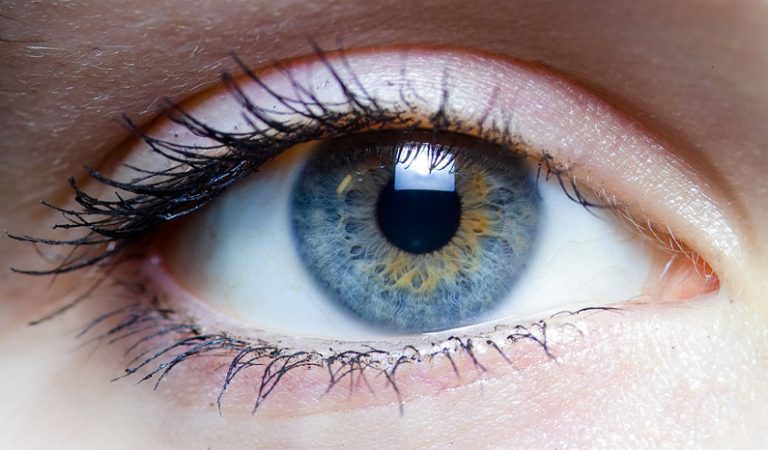 10 fakta du måste veta om dina ögon