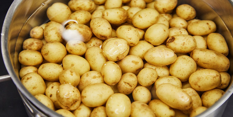 Det var Spanien som introducerade potatisen till Europa under år 1539. Namnet kommer från spanska ”patata”.