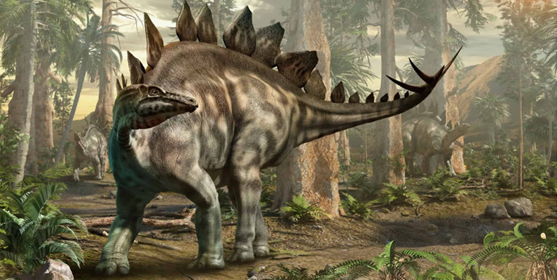 Tidsskillnaden mellan när Stegosaurus levde och Tyrannosaurus Rex levde är större än tidsskillnaden mellan Tyrannosaurus Rex och dagens datum.