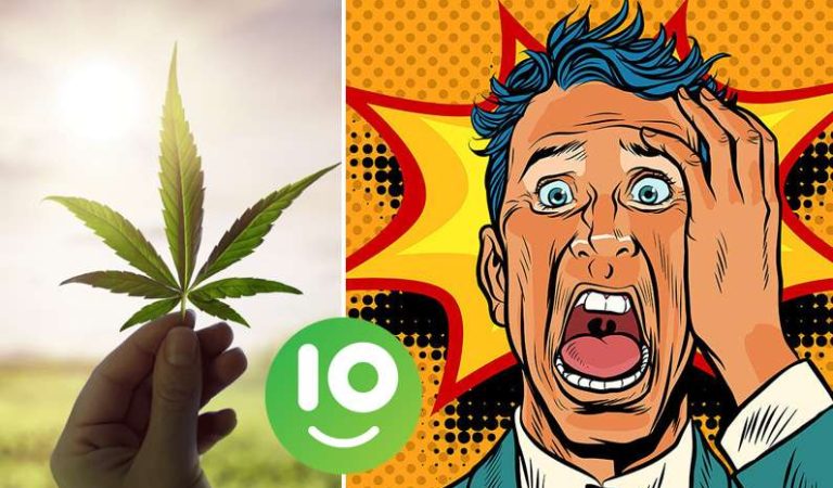 10 myter om cannabis som du måste sluta tro på omgående