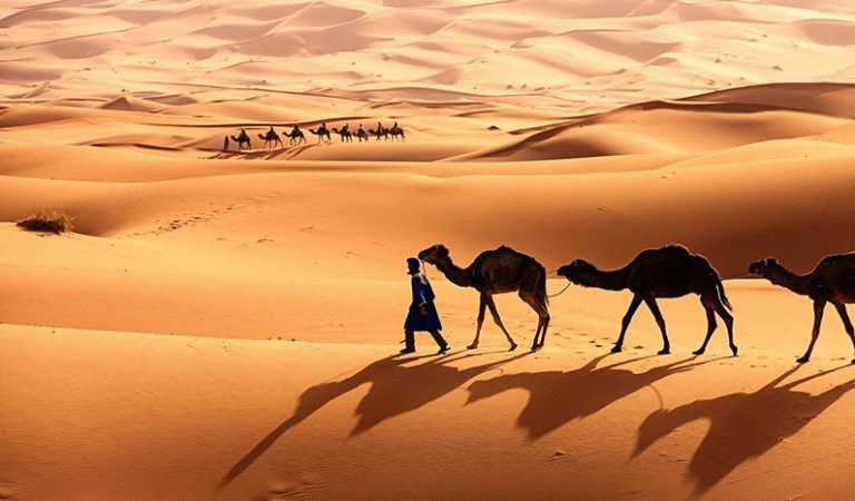 10 stekheta fakta du behöver veta om Sahara