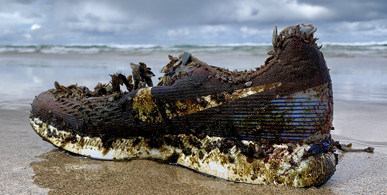 Under år 1990 släpptes omkring 60 000 Nike-skor från en container i havet. När skorna sedan började att dyka upp på land över hela världen hjälpte de oceanografer att kartlägga Stilla havets strömmar.