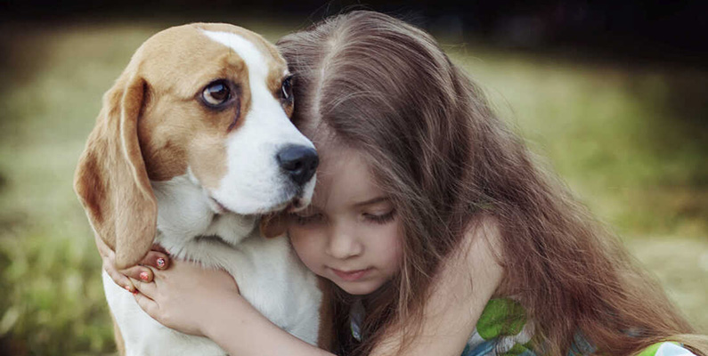 10 vanliga myter om hundar du aldrig ska tro på. Myt #7: "Hundar älskar att kramas".