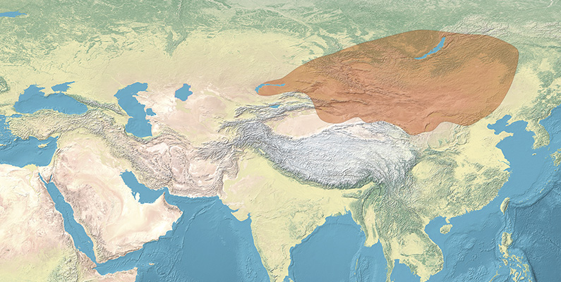 Xiongnu-imperiet var en nomadisk statsbildning som existerade från cirka 209 f.Kr. till 93 e.Kr. Det var beläget i dagens Mongoliet, Kina och Sibirien. Xiongnu var kända för sitt militära kunnande och sin härskares stora makt. De var ofta i konflikt med de kinesiska staterna, särskilt under Qin- och Handynastierna. Deras imperium var baserat på boskapsskötsel och hästuppfödning, och de kontrollerade viktiga handelsvägar i Centralasien. Xiongnu-imperiet anses ha haft en betydande inverkan på den kinesiska historien och politiken under sin tid.