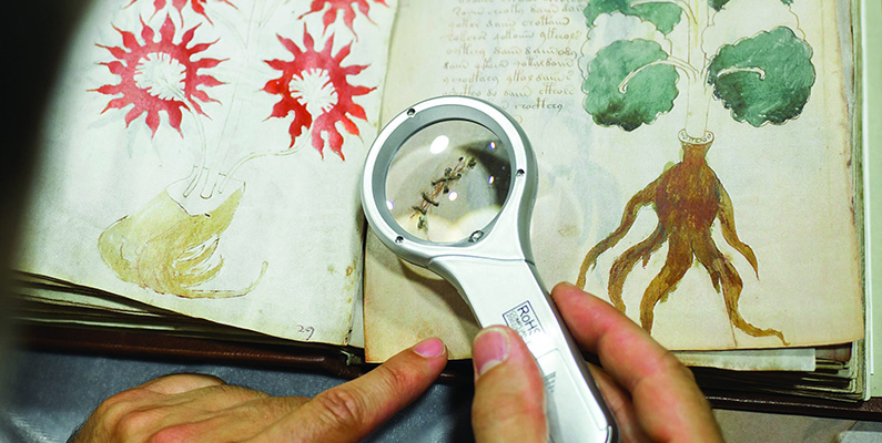 Vad står det egentligen i Voynich-manuskriptet…?