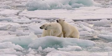 10 iskalla fakta du bör känna till om Nordpolen