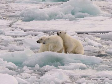 10 iskalla fakta du bör känna till om Nordpolen