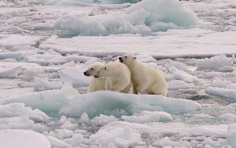 10 iskalla fakta du bör känna till om Nordpolen