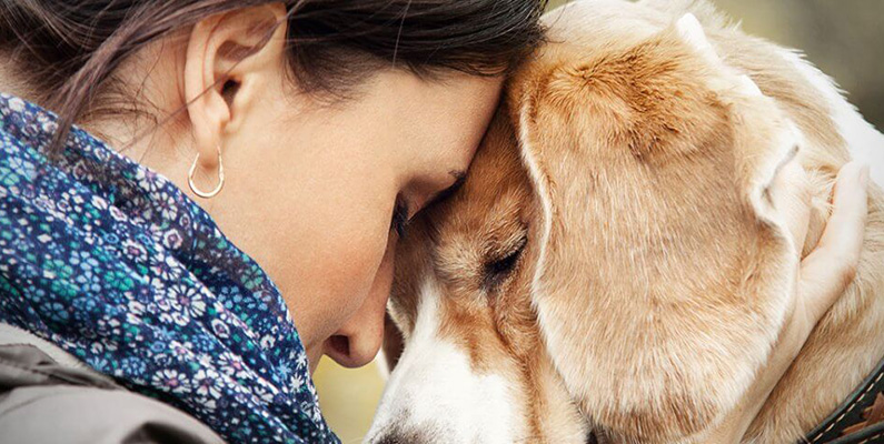 10 märkliga och ovanliga jobb som du inte visste fanns. #9) Husdjursterapeut.