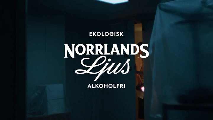 <h6>Norrlands ljus Lollapalooza – <em>Project manager</em> </h6>