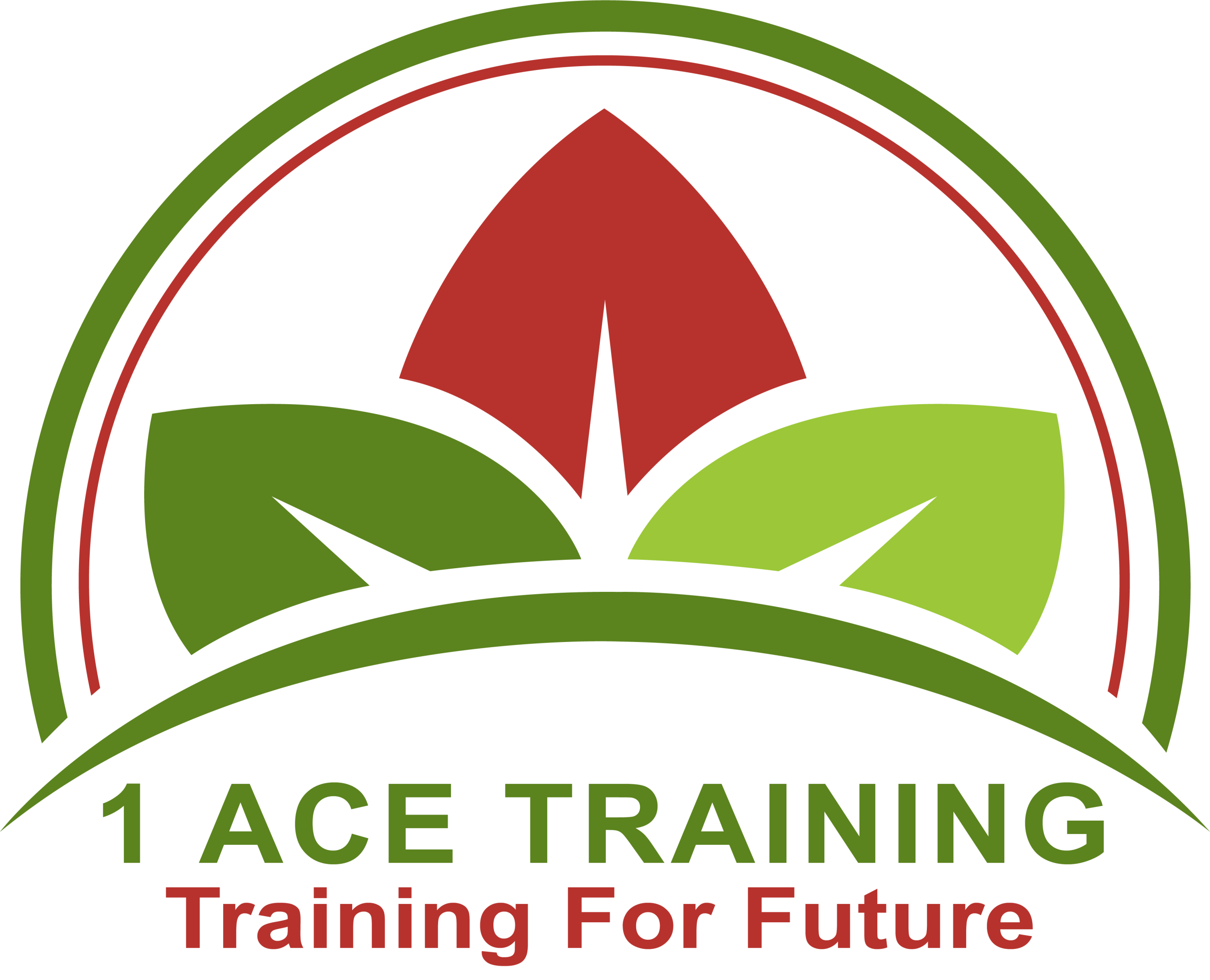 1Ace Training