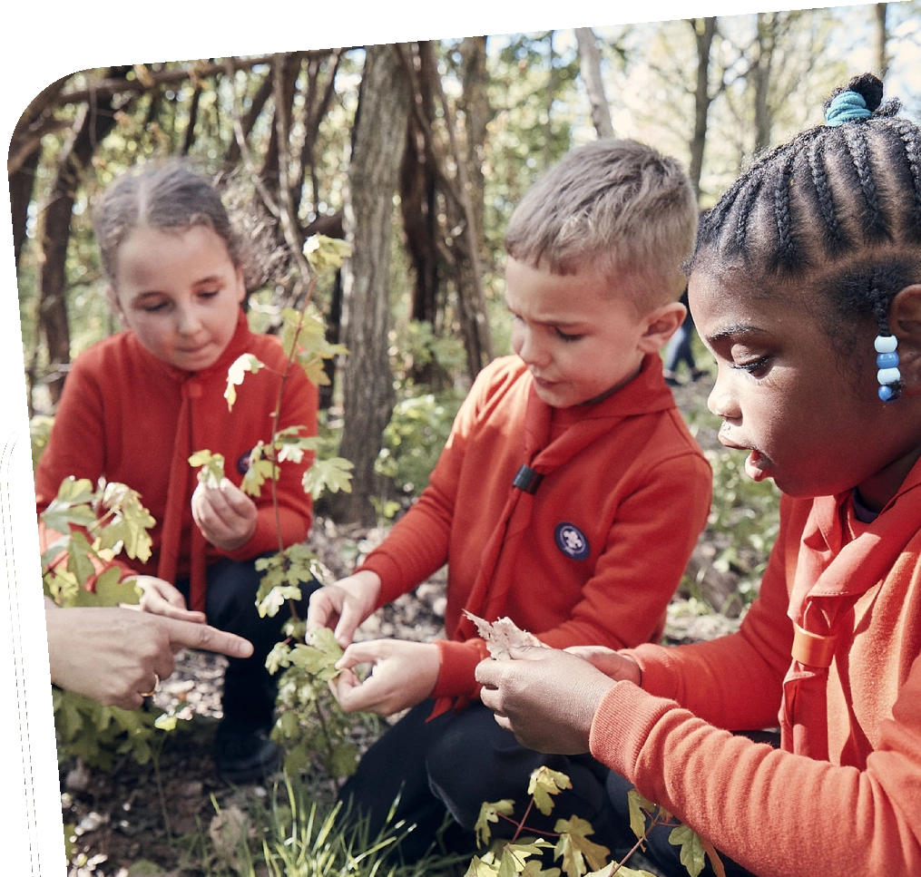 https://usercontent.one/wp/www.1stkeynshamscouts.org.uk/wp-content/uploads/2025/02/Squirrels-3.webp?media=1783002882