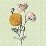 Tile Junkie By Dims Flowers Transparent Yellow