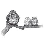 Tile Junkie By Draw Doodles Birds Transparent